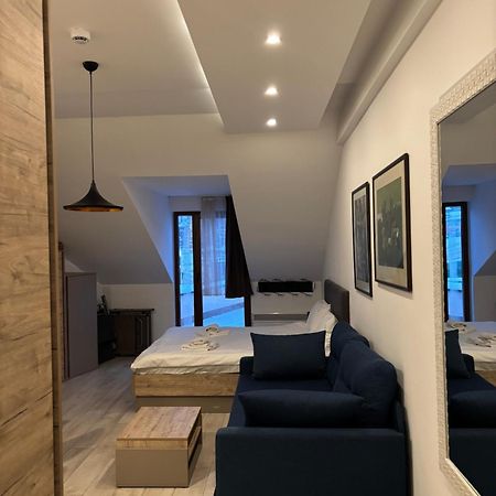 Kopaonik Apartmani Milmari - Katic Kültér fotó